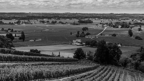 1995 Bordeaux Vintage | Bordeaux 1995 Wines | Shop Online - Page 2