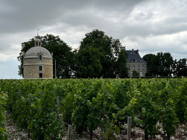 Bordeaux Wine | Bordeaux Grand Cru | Bordeaux Wine Bottles