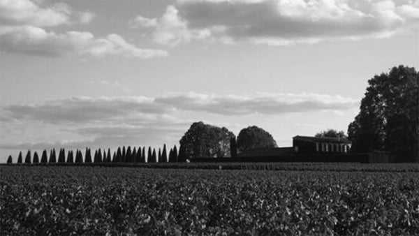 Chateau Trotanoy Wine | Trotanoy Pomerol | Shop Online