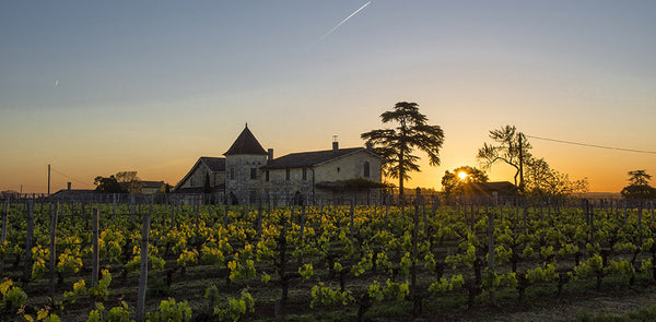La Mondotte