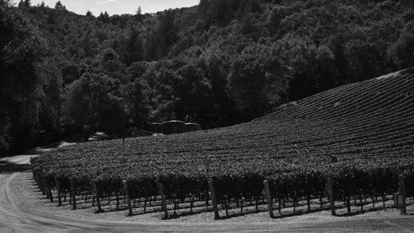 Grace Family Vineyards | Grace Family Wines | Shop Online