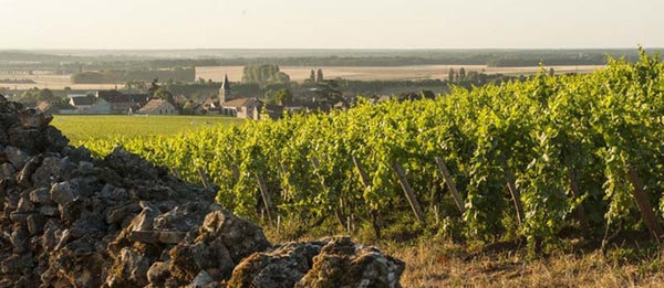 Emmanuel Rouget, Vosne-Romanee Premier Cru, Cros Parantoux