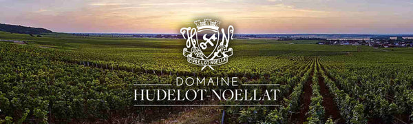 First-Rate 95 Point 2016 Hudelot Noellat 1er Cru Les Beaumonts