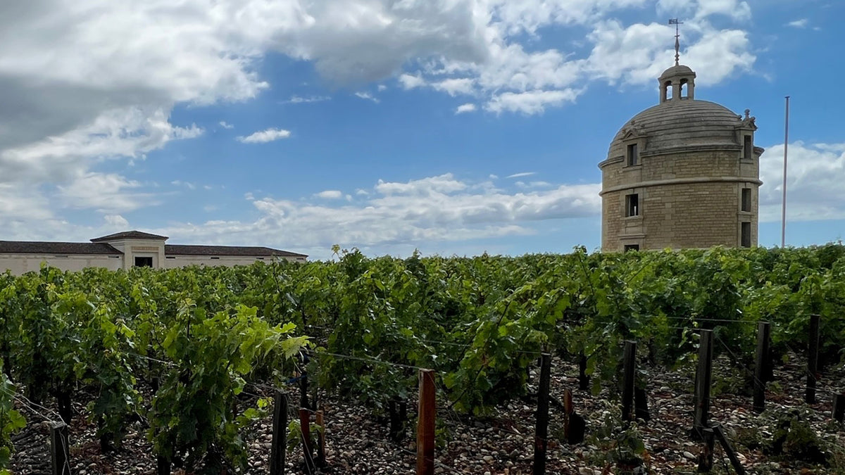 99 Point 2009 Chateau Hosanna, Pomerol - Cousin of Petrus