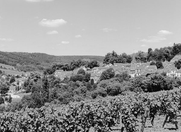 Hubert Lamy, Saint-Aubin Premier Cru, Derriere Chez Edouard