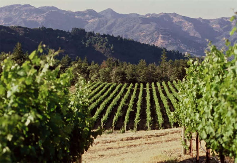 New Release - 2016 Les Forts de Latour 96 Points