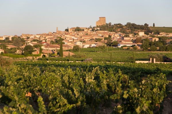 2010 Janasse Chateauneuf du Pape  - “The Prodigious 2010 … Find some of this amazing wine”