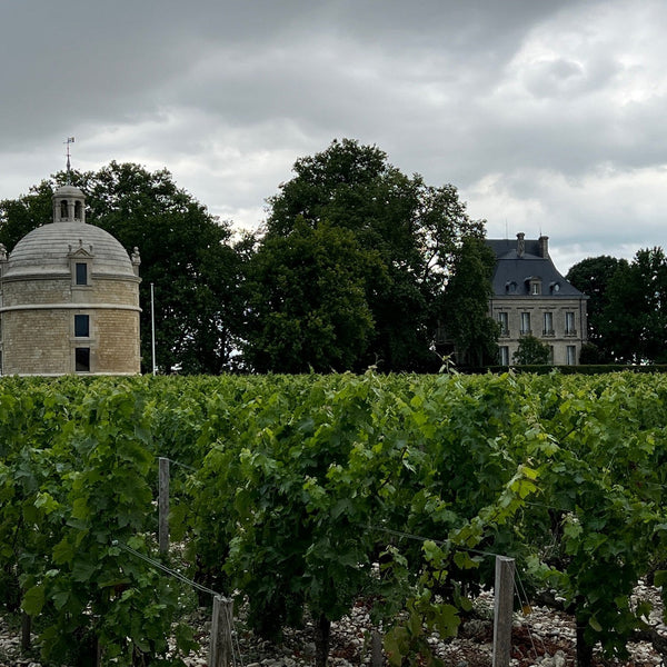 Bordeaux Wine | Bordeaux Grand Cru | Bordeaux Wine Bottles