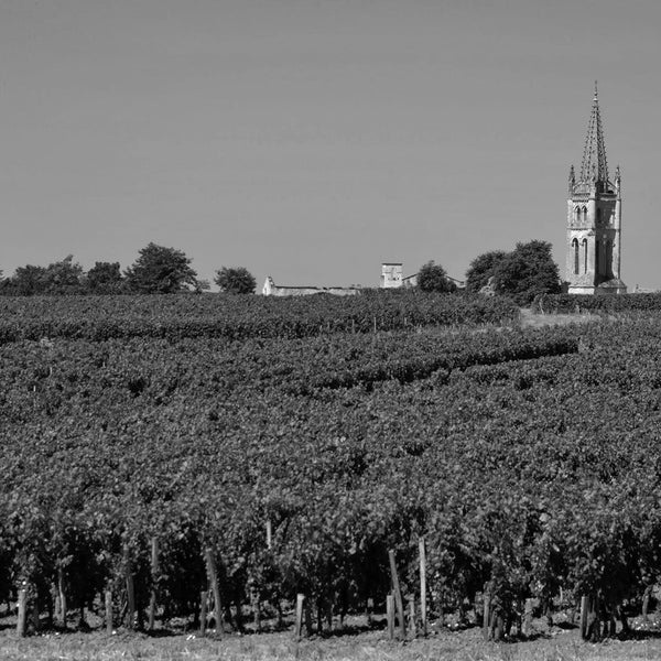 Chateau Le Bon Pasteur Wine | Shop Online
