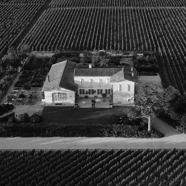 Le Petit Cheval Wine | Shop Online